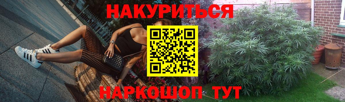 Бошки Шишки OG Kush  Вход с VPN  Каннабис планчик  Конопля Bruce Banner  Конопля тримм  Анжеро-Судженск 
